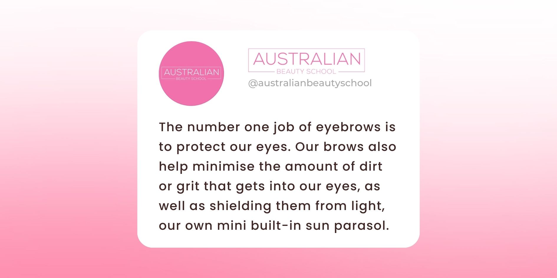 What are our eyebrows for infographic