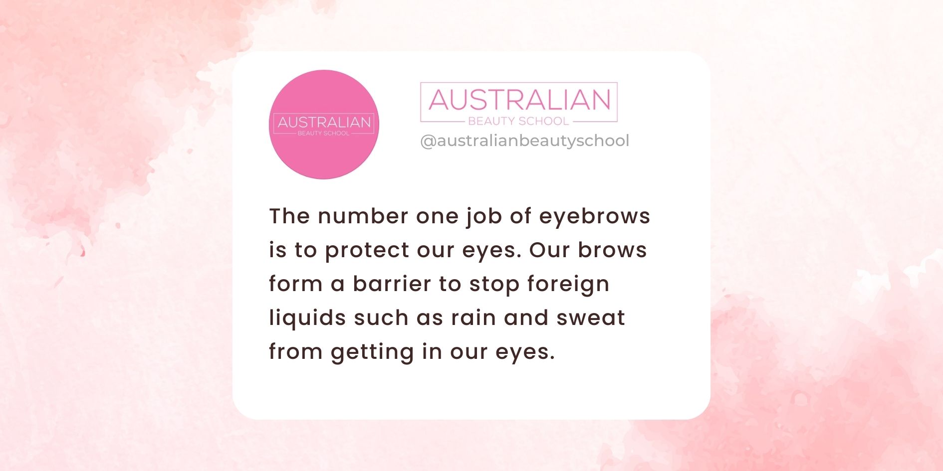 Eyebrows are to protect our eyes infographic