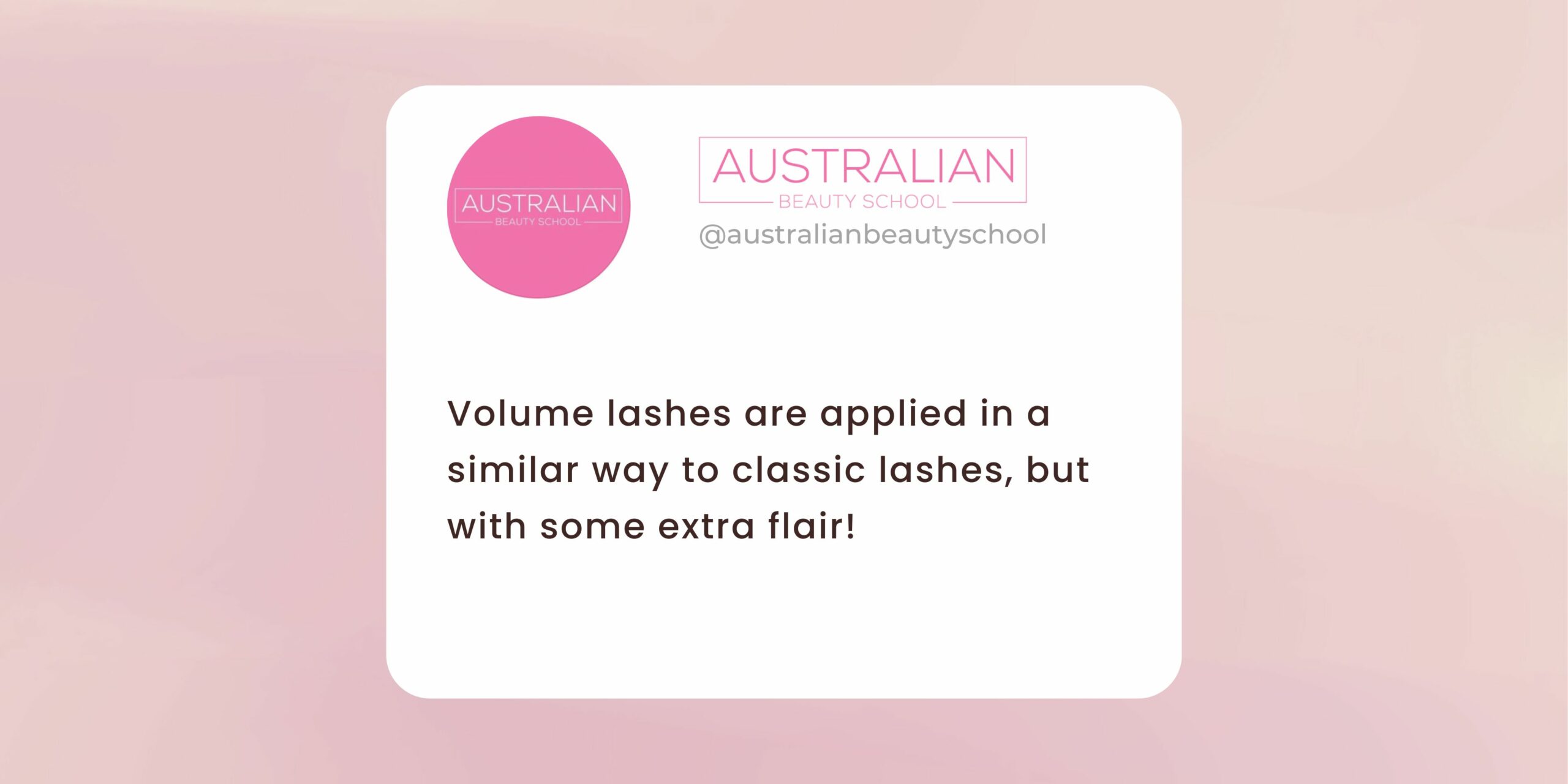 volume lashes are applied in a similar way as classic lashes but with some extra flair infographic